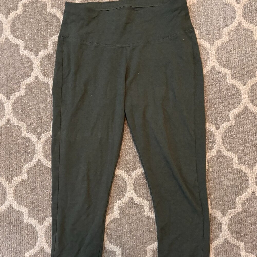 Hanna Andersson green leggings